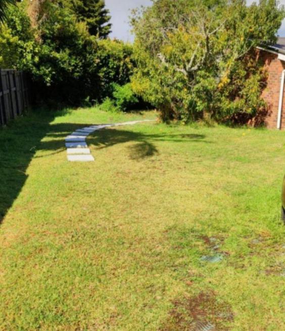 Separate Entry Guest Room With Private Bathroom In Forrest Hill Auckland Zewnętrze zdjęcie
